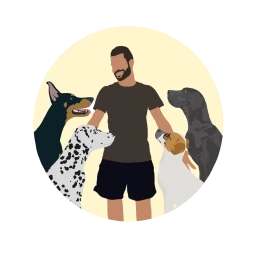 Logo Dog Solution